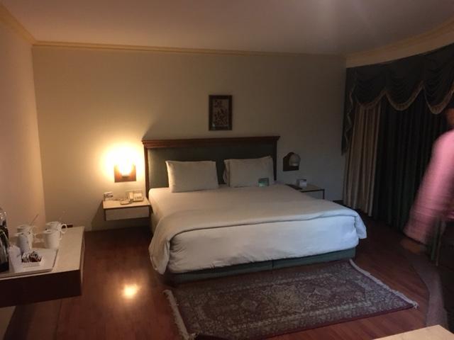 Shiva Oasis Resort Neemrana Habitación foto